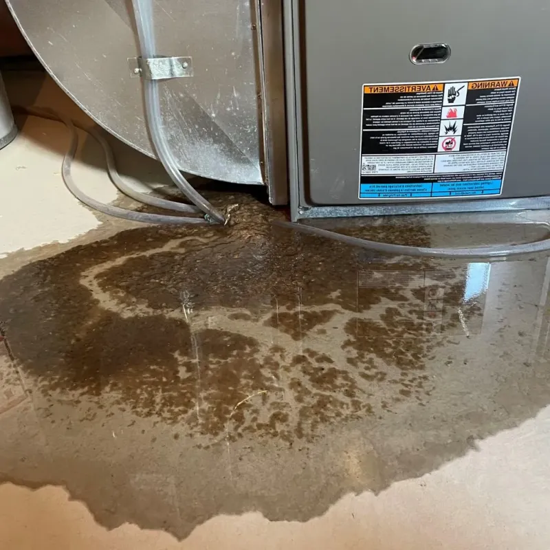 Pipe Burst and Leak Restoration in La Mesilla, NM
